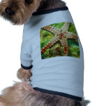 Starfish Aquatic Animal Digital Art -JungleWalk pet clothing