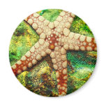 Starfish Aquatic Animal Digital Art -JungleWalk magnets