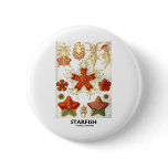 Starfish buttons