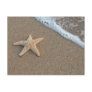 Starfish by the beach post card