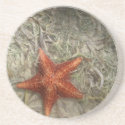Starfish Coaster