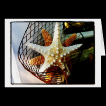Starfish cards