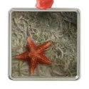 Starfish Ornament