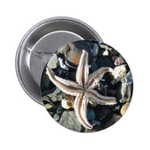 Starfish Pins