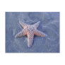 Starfish Postcard