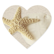 Starfish & Sand Dollar