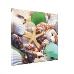 Starfish & Seashells Canvas Wrap