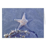Starfish Semi Immersed Card
