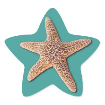 Starfish Sticker - Turquoise