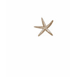 starfish t-shirts