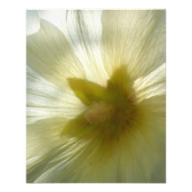 Starflower Photograph