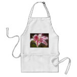 Stargazer Lilies #14 aprons