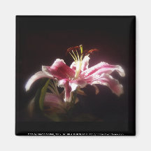 stargazer lilies #15 fridge magnet