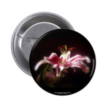 stargazer lilies #15 pin