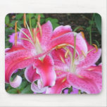 Stargazer Lillies Mousepad