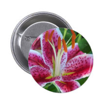 Stargazer lily button