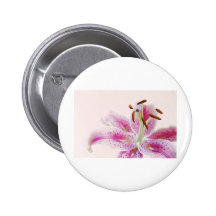 Stargazer Lily Buttons
