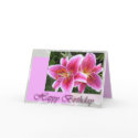 Stargazer Lily cards