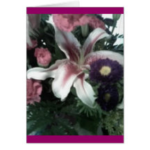 Stargazer Lily Cards