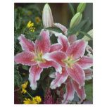Stargazer Lily Personalized Flyer
