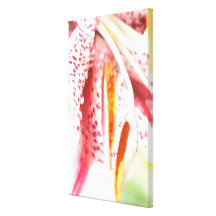 Stargazer Lily Gallery Wrap Canvas