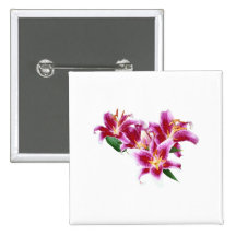 Stargazer Lily Heart Pinback Button