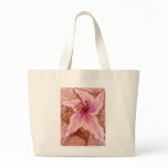 Stargazer Lily in Pastel bags