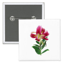 Stargazer Lily Looking Down Pinback Button