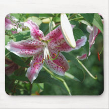 Stargazer Lily Mouse Pads