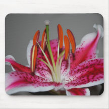 Stargazer Lily Mousepad