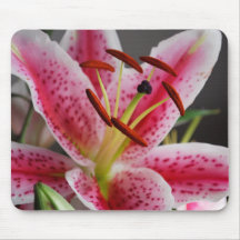 Stargazer Lily Mousepad