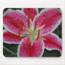 Stargazer Lily Mousepad