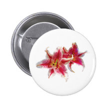 Stargazer Lily Pair Pinback Buttons