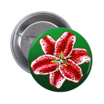 Stargazer Lily Pinback Buttons
