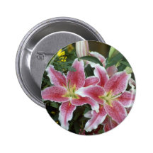 Stargazer Lily Pins