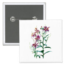 Stargazer Lily Plants Pinback Button