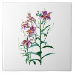 Stargazer Lily Plants Ceramic Tiles