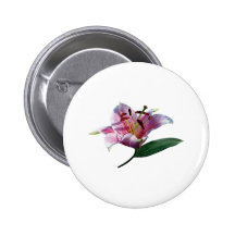 Stargazer Lily Profile Gifts Pinback Button