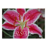 Stargazer Lily RSVP cards Invitation