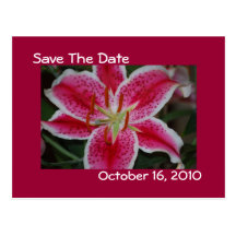 Stargazer Lily Save The Date Postcard
