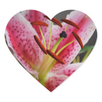 Stargazer Lily Sticker