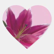 Stargazer Lily Sticker