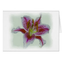 Stargazer Lily Watercolor Card