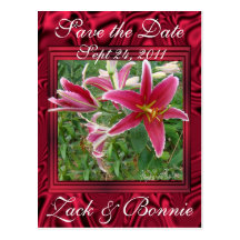 Stargazer-save the date-customise post cards
