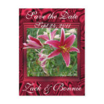 Stargazer-save the date-customise postcards
