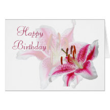 Stargazer Silhouette Birthday Card