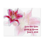 Stargazer Silhouette Save The Date Postcard