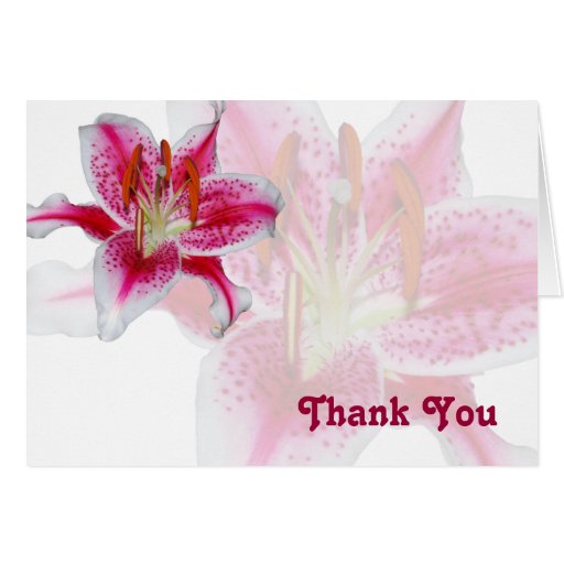 Stargazer Silhouette Thank You Card