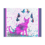 Staring Pink Cat and Butterflies