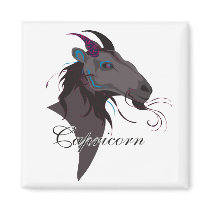 Starlight Capricorn Magnets